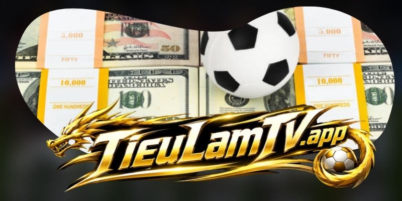 Nguyên tắc xử lý thông tin tại Tieulamtv