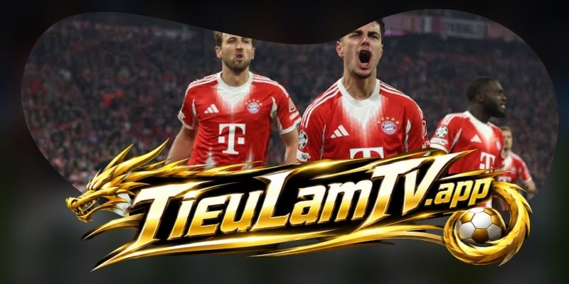Gợi ý chốt kèo tổng hợp trận Hammarby vs Kalmar ngày 12/07
